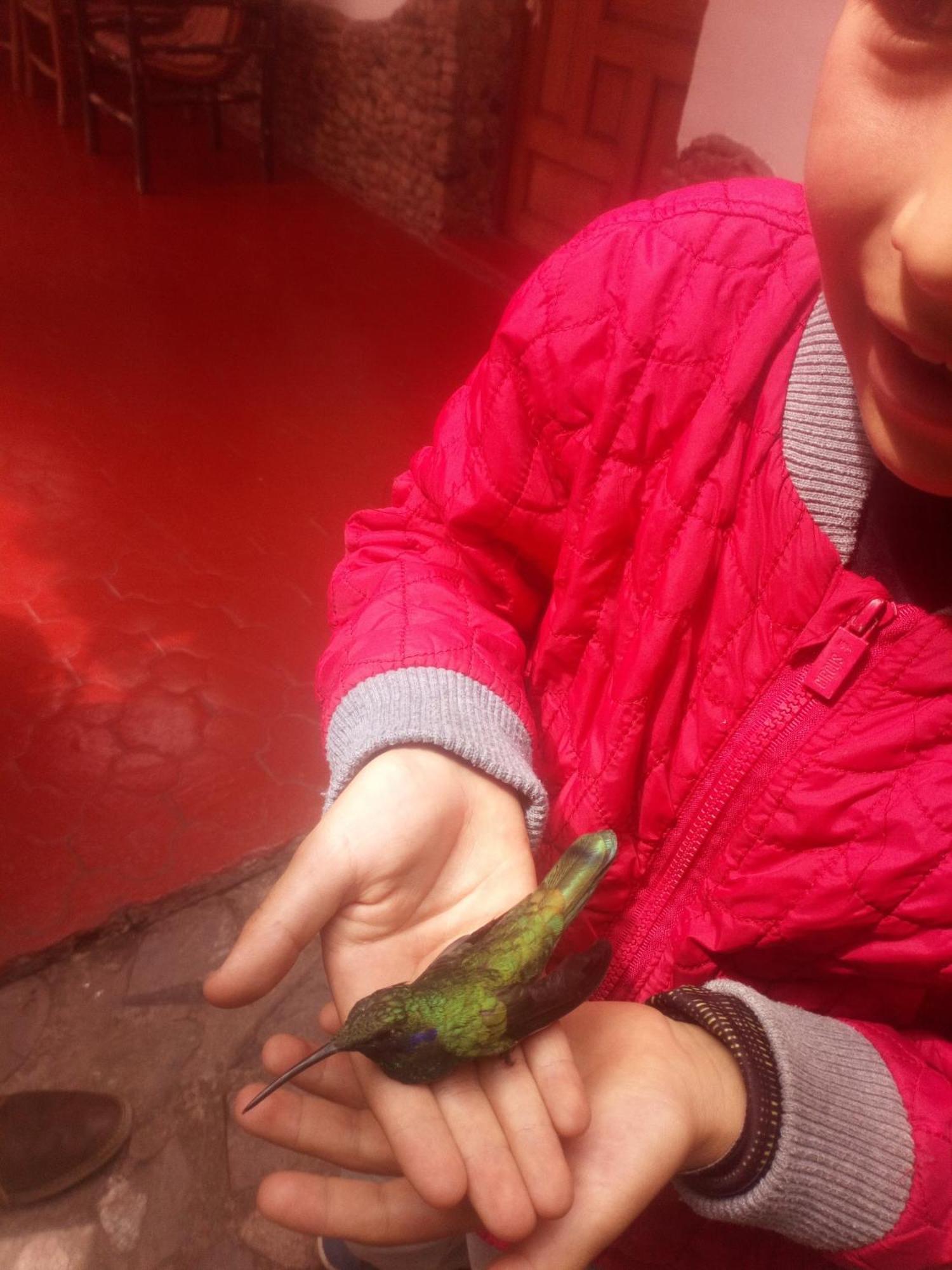 EColodge Ccatan Urubamba Bagian luar foto