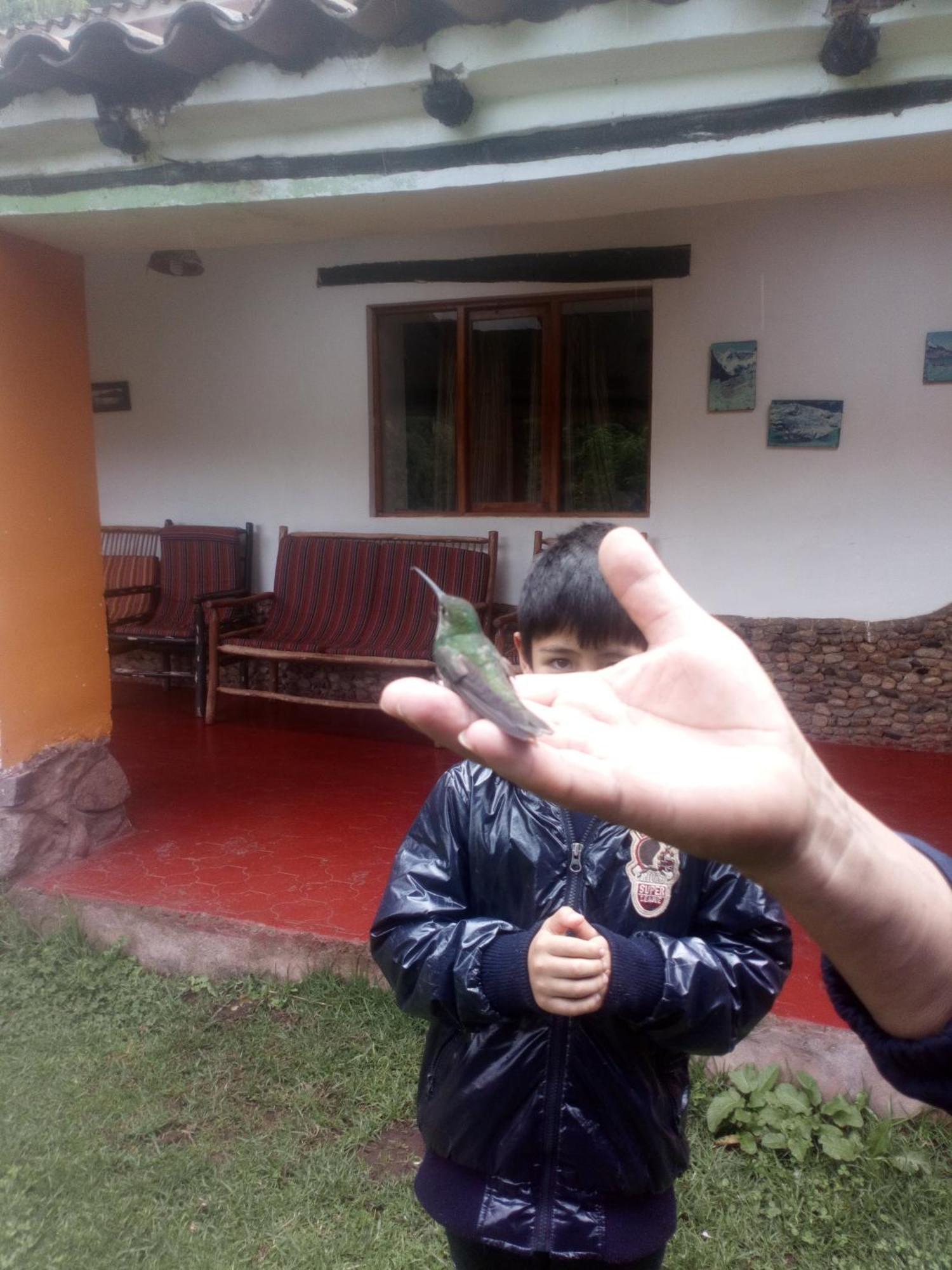EColodge Ccatan Urubamba Bagian luar foto