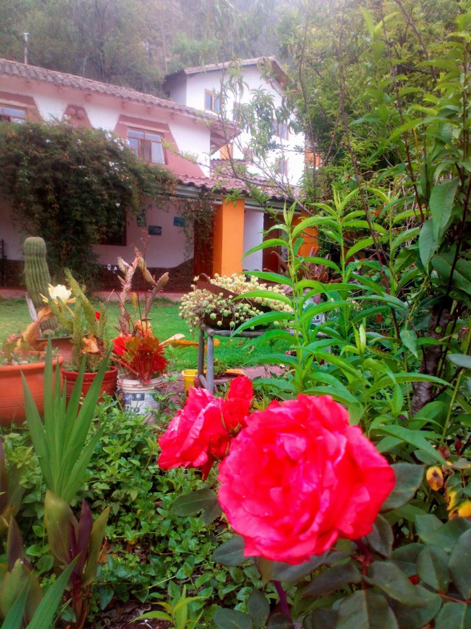 EColodge Ccatan Urubamba Bagian luar foto