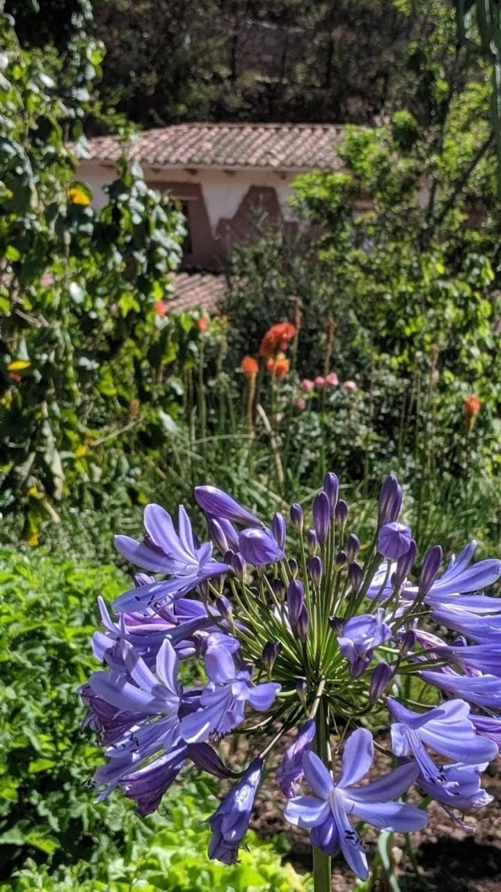 EColodge Ccatan Urubamba Bagian luar foto