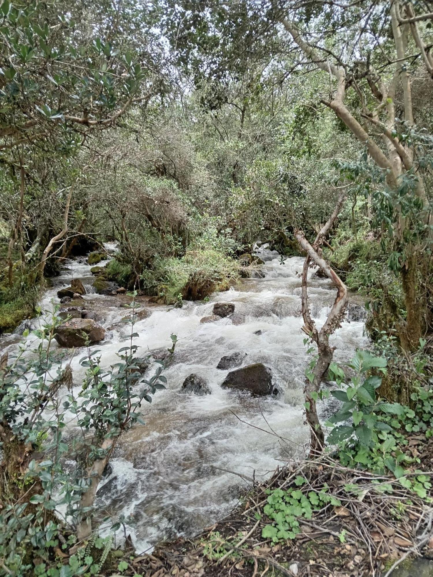 EColodge Ccatan Urubamba Bagian luar foto