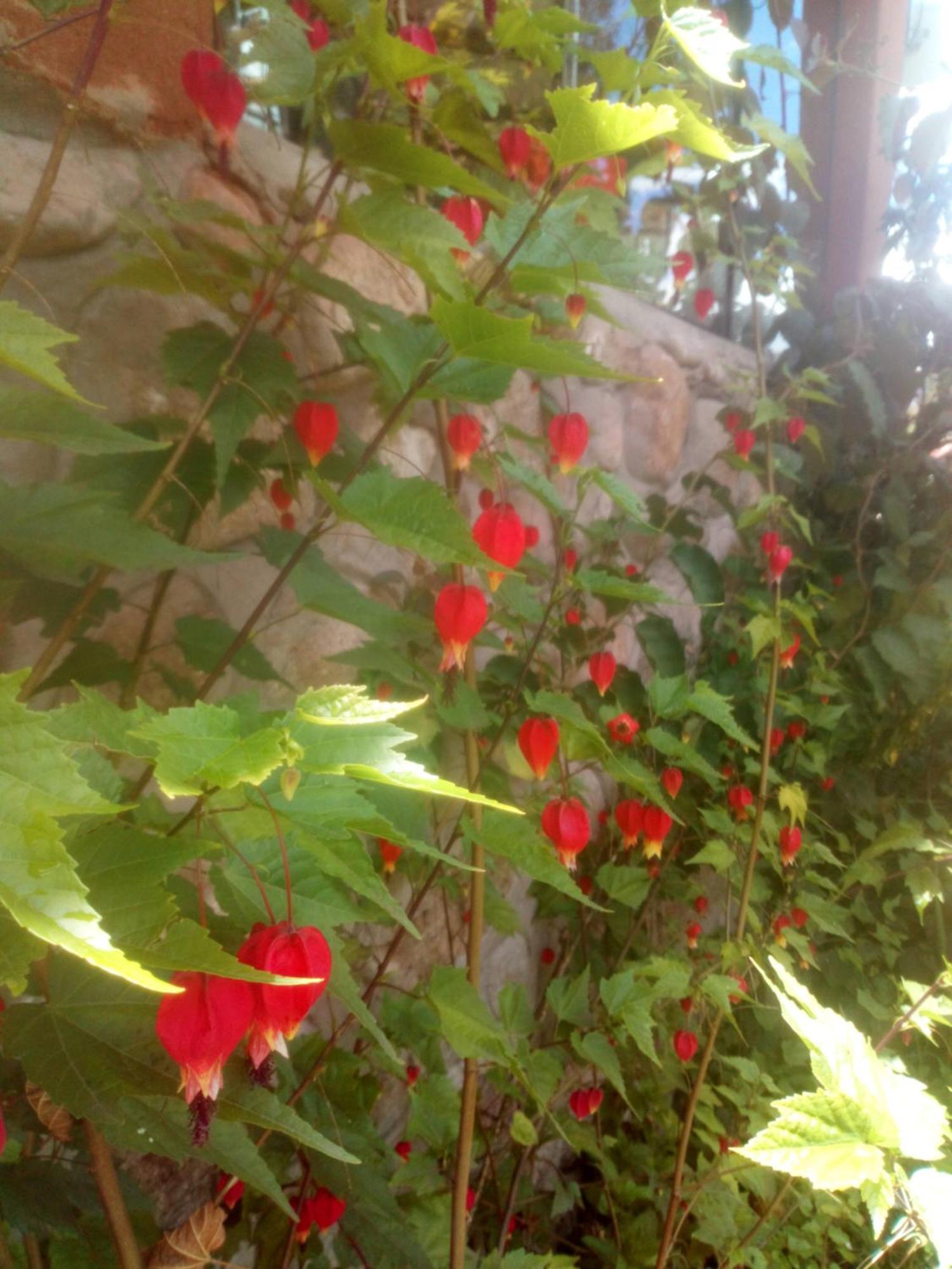 EColodge Ccatan Urubamba Bagian luar foto